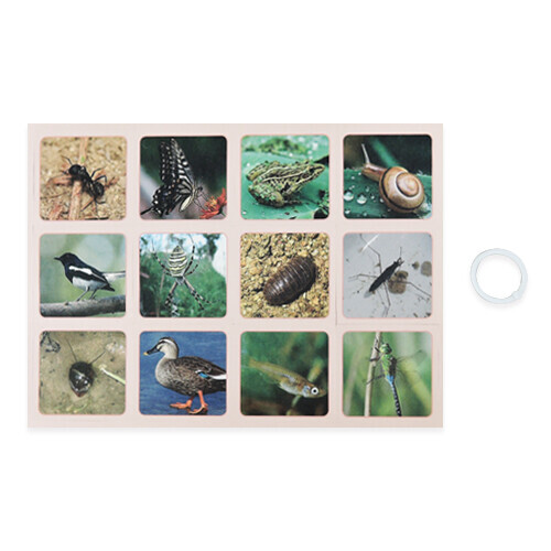 동물 카드(12종, 5명 세트)