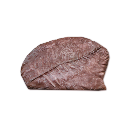 고사리 화석 모형(약180*130mm)