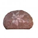 나뭇잎 화석 모형(단풍잎)(약180*130mm)