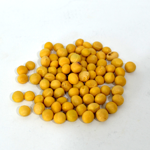 노란콩(500g)