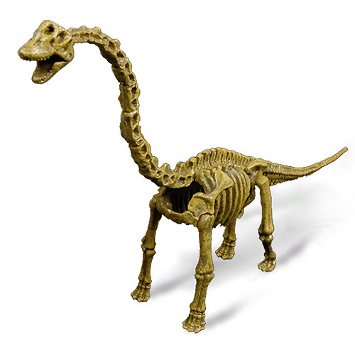 쥬라기 공룡화석(브라키오사우루스)