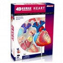 인체 심장 해부 모형(4D 퍼즐, 31조각)
