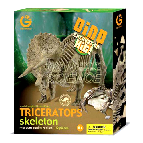 트리케라톱스(공룡 화석 발굴)